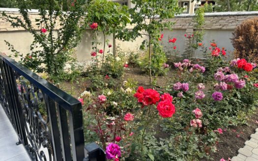 Двухкомнатный апартамент с террасой в Magnolia 6 ID: 35025