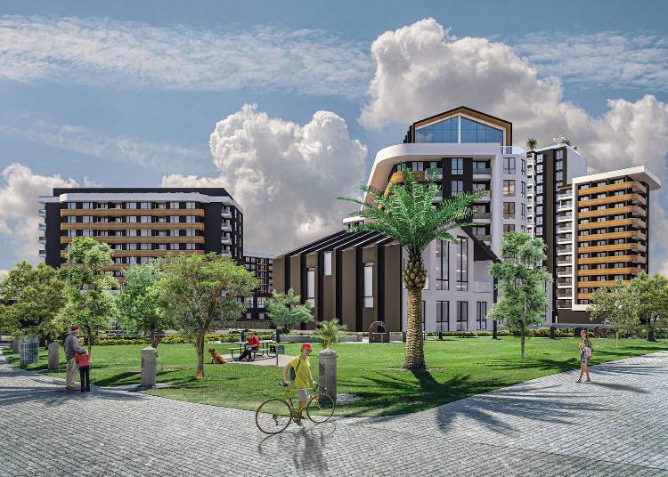 видео изображение