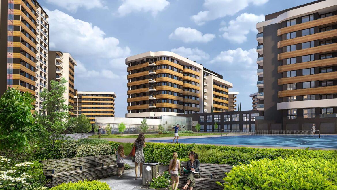 видео изображение