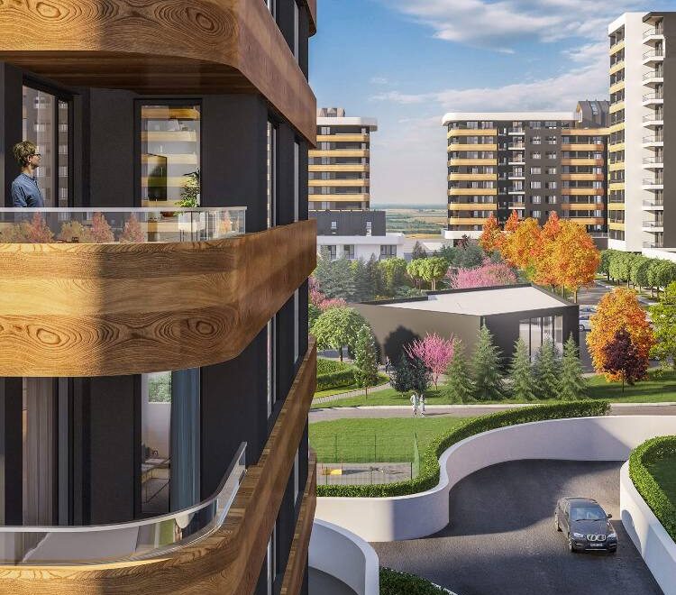 видео изображение