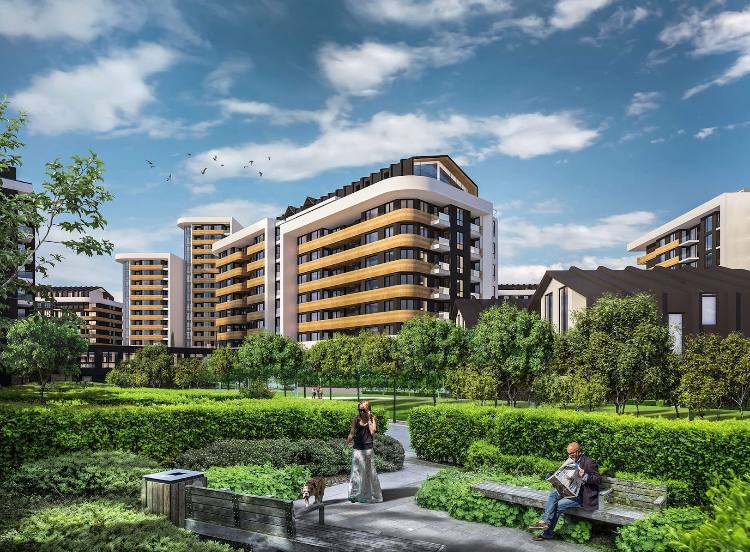 видео изображение