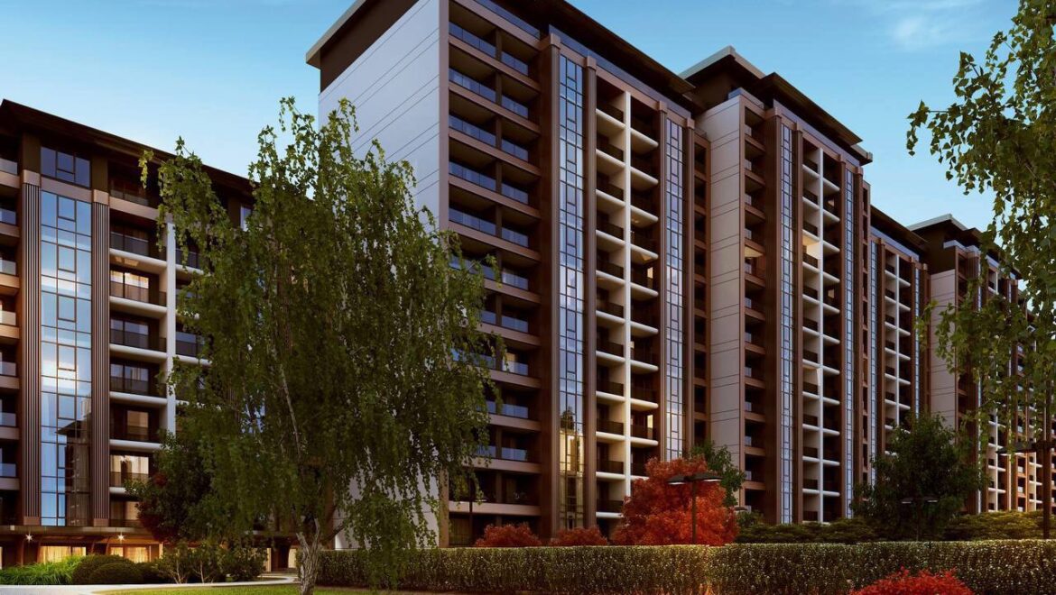 видео изображение