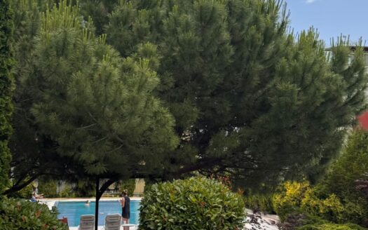 Апартамент с 3 спальнями у пляжа в Святом Власе ID: 36144