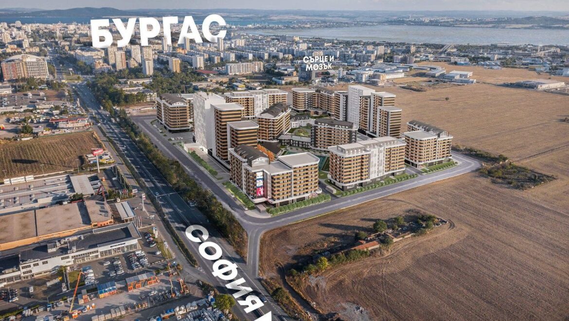 видео изображение