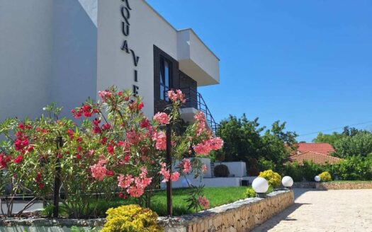 Студия с видом на море в Варне, Чайка ID: 57241